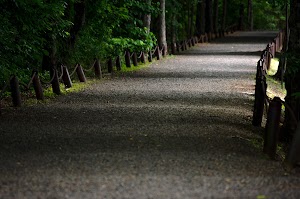 Synergy Park - photo 93