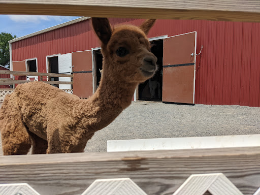 Gift Shop «Hidden Spring Lavender Farm and Gift Shoppe», reviews and photos, 890 Belle Mead-Blawenburg Rd, Skillman, NJ 08558, USA