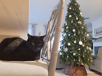 Neigh Care, LLC - Photo 3 - Car repair in , Charleston