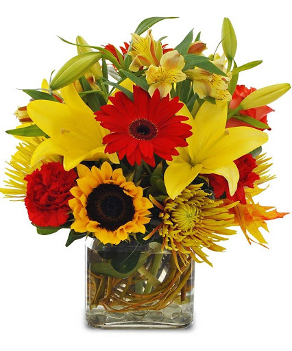 Florist «Alfa Flower Shop», reviews and photos, 7001 W North Ave, Wauwatosa, WI 53213, USA