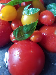 Photo n°24 de Le Bonheur du Jour à Saint-Laurent-de-la-Salanque ()