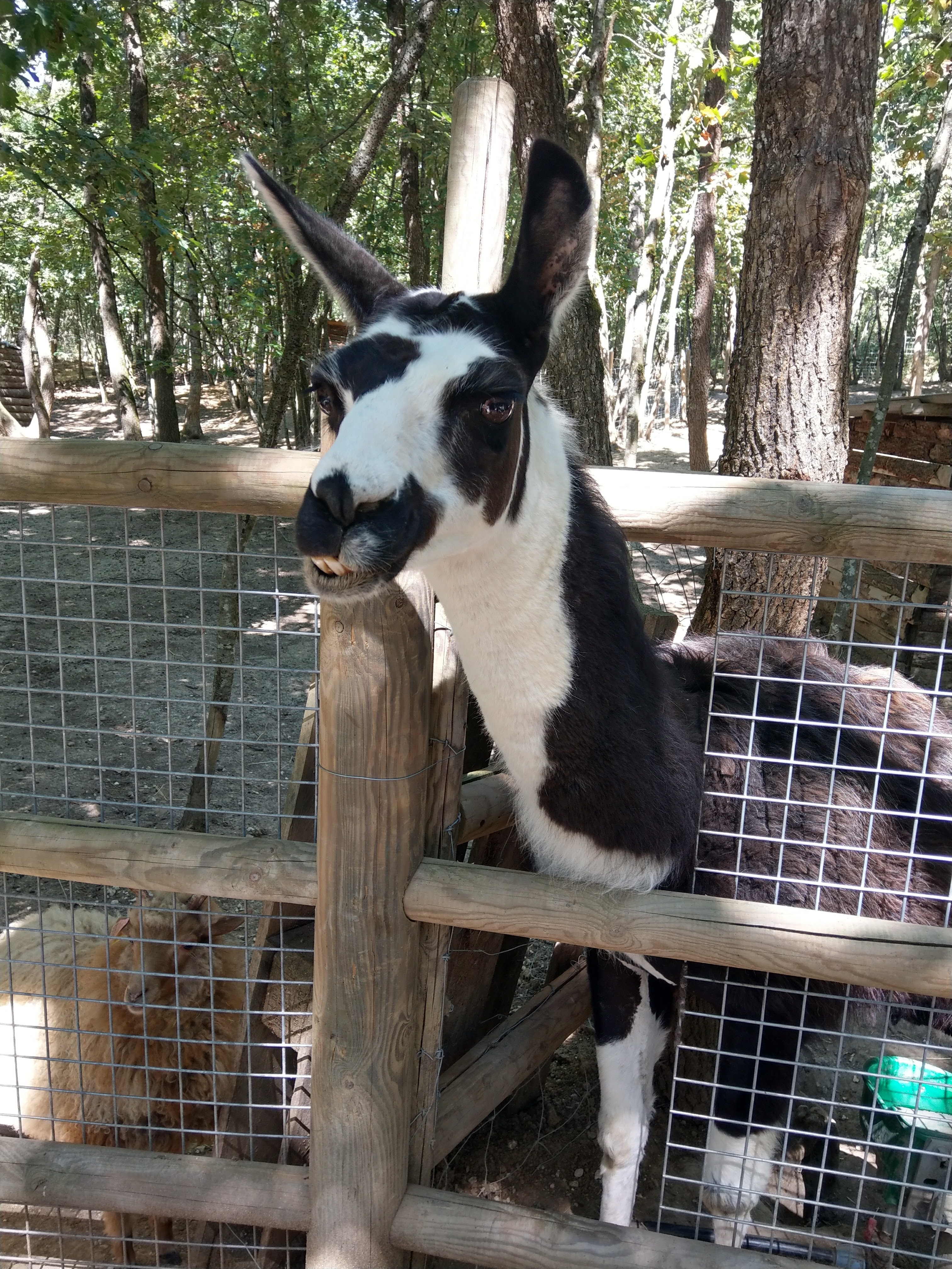 Photo n° 5 de l'avis de Caroline.o fait le 08/09/2017 à 13:40