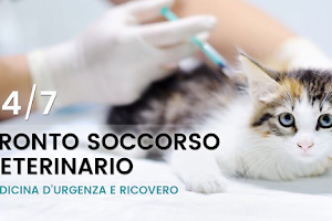 Ticino Animal Hospital sagl image