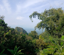Kopi Borobudur & Roastery photo