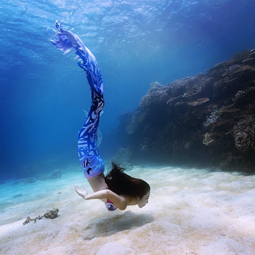 ダンススクール Koyomi Belly Dance Entertainment