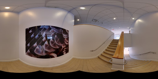 Honda Dealer «Honda Cars of Rockwall», reviews and photos, 1550 I-30 Frontage Rd, Rockwall, TX 75087, USA