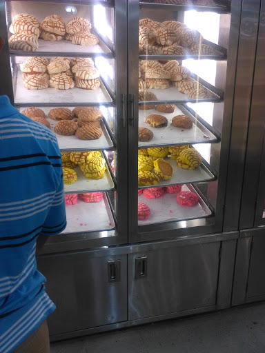 Grocery Store «El Zocalo Supermarket», reviews and photos, 452 US-17, Haines City, FL 33844, USA