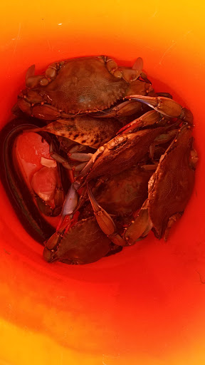 Skateboard Park «Tanner Skate Park», reviews and photos, 400 Baylawn Ave, Copiague, NY 11726, USA