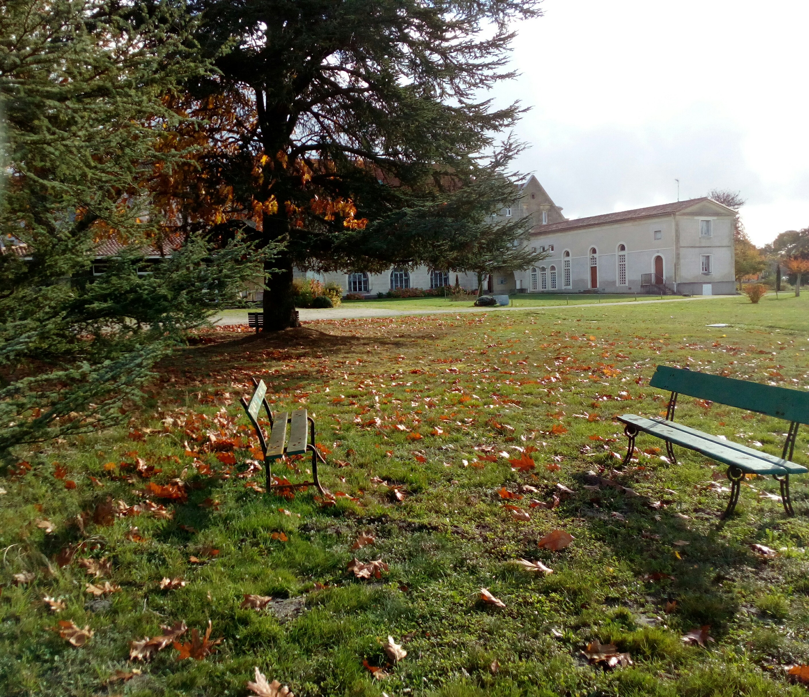 Photo n° 3 de l'avis de Nadine.e fait le 04/11/2021 à 17:38