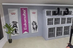 ZUmascota / Hospital Veterinario & Eestética Canina image