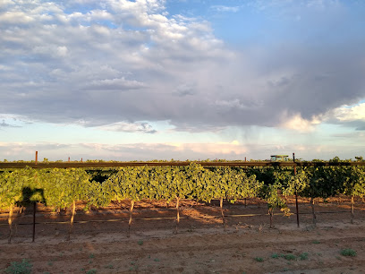 Texas Vineyard Management
