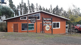 Escuela Rucayeco, Lumaco