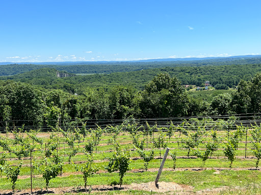 Winery «Benmarl Winery», reviews and photos, 156 Highland Ave, Marlboro, NY 12542, USA