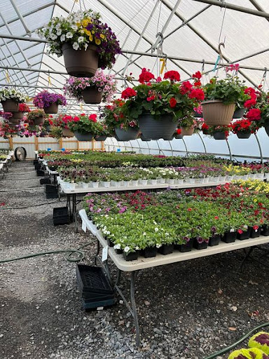 Florist «TG Designs», reviews and photos, 19231 Longmeadow Rd, Hagerstown, MD 21742, USA