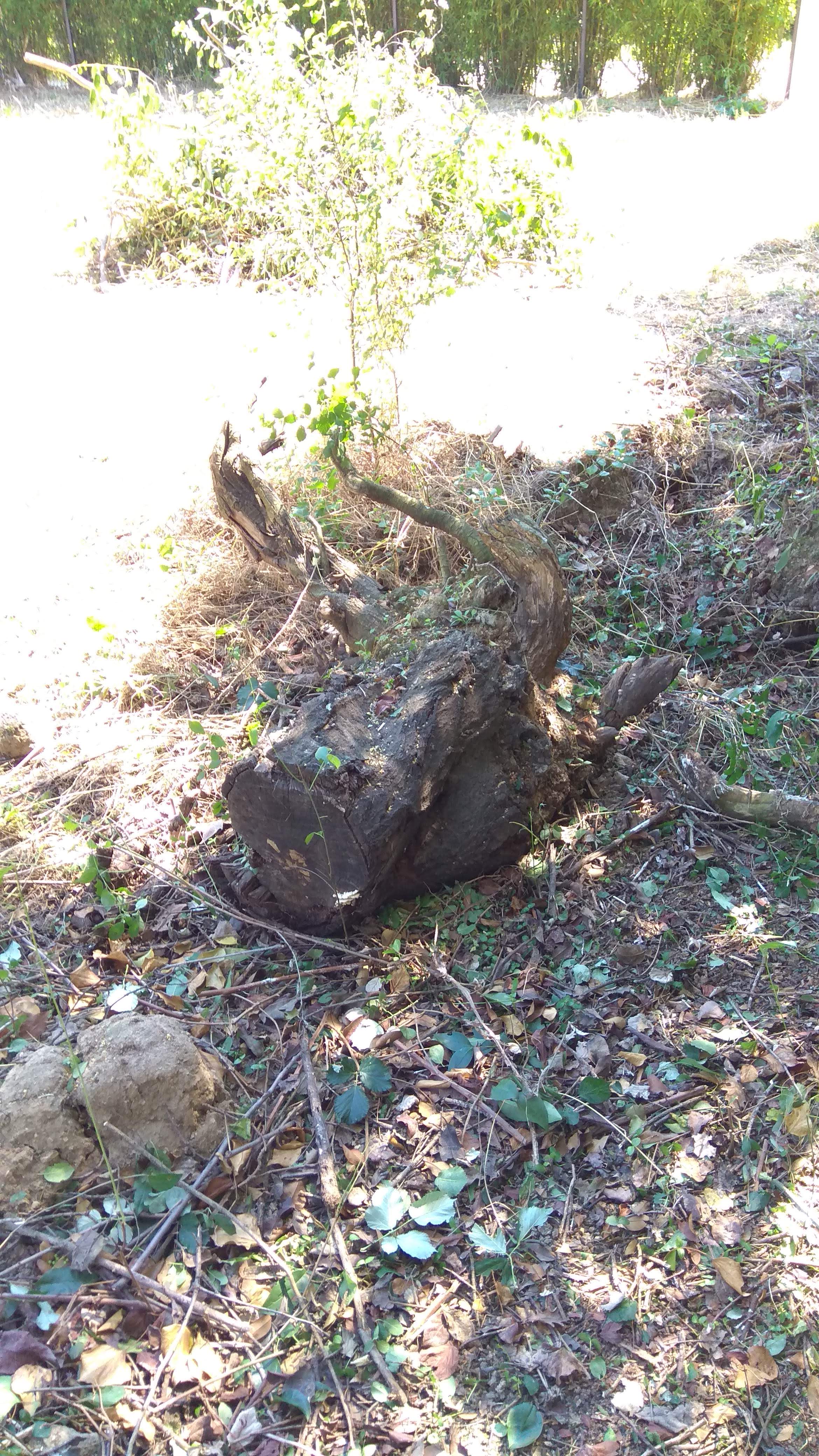 Photo n° 2 de l'avis de Bastien.e fait le 23/06/2020 à 09:10