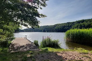 Jezioro Małe Mierzeszyńskie image