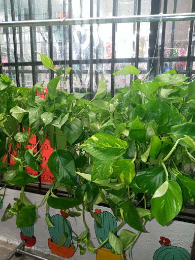 Florist «Allison Flower & Gifts», reviews and photos, 2822 N Broadway, Los Angeles, CA 90031, USA