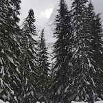 Photo n°5 de l'avis de donatella.g fait le 03/01/2021 à 09:31 sur le  Hotel Villa Maria à Canazei