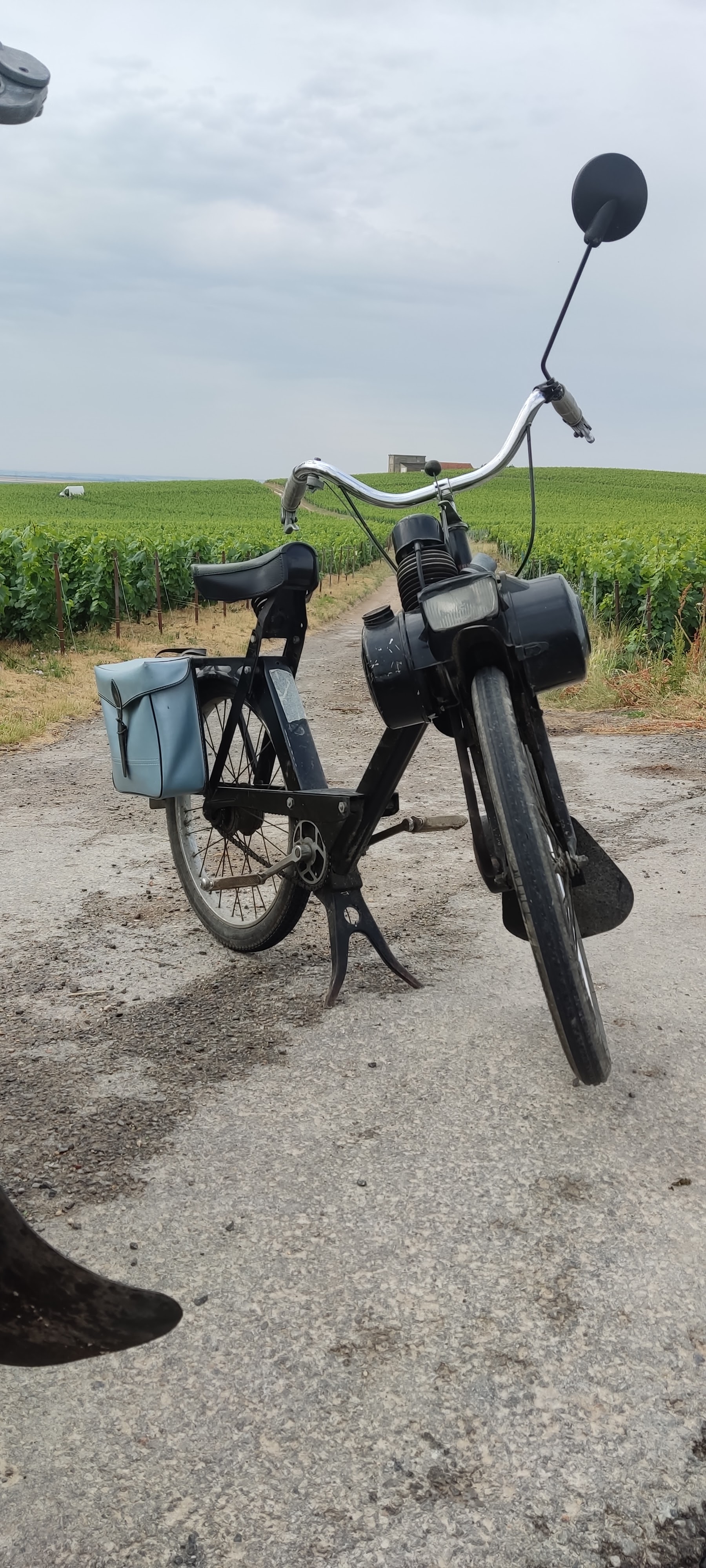 Photo n° 1 de l'avis de Drialys.i fait le 10/05/2022 à 20:16