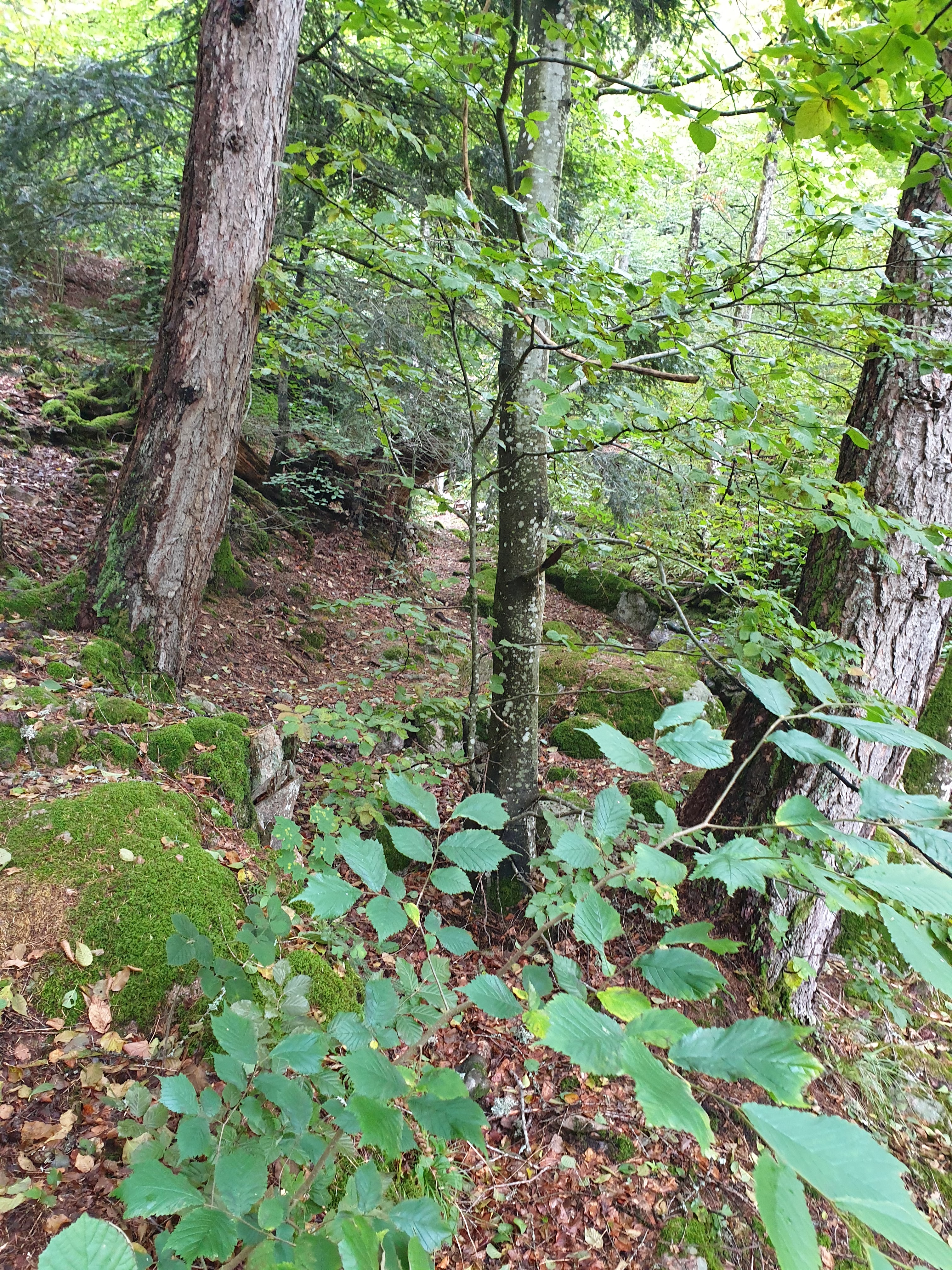 Photo n° 24 de l'avis de Christophe.r fait le 28/07/2019 à 18:55