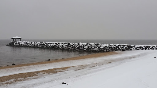 Nature Preserve «Welwyn Preserve», reviews and photos, 100 Crescent Beach Rd, Glen Cove, NY 11542, USA