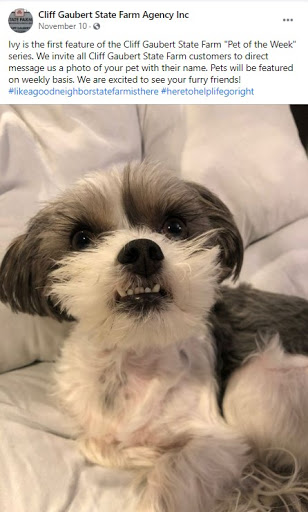 Auto Insurance Agency «State Farm: Cliff Gaubert», reviews and photos