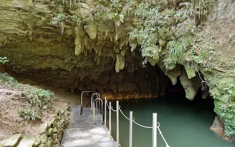 Waitomo Glowworm Caves image