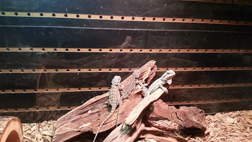 Pet Store «Marineland Pet Center», reviews and photos, 412 Oak Forest Dr, Onalaska, WI 54650, USA