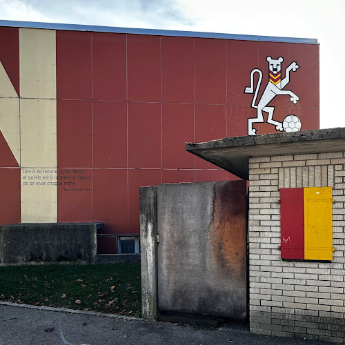 Rezensionen über Terrain des Jeanneret in Neuenburg - Sportstätte
