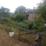 Photo n° 2 de l'avis de Georgos.i fait le 28/07/2018 à 18:27 pour Ferme de la Corbette à Cluny