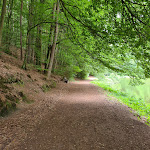 Photo n°4 de l'avis de Gabi.� fait le 27/07/2022 à 17:12 sur le  Paddelweiher Hütte à Hauenstein