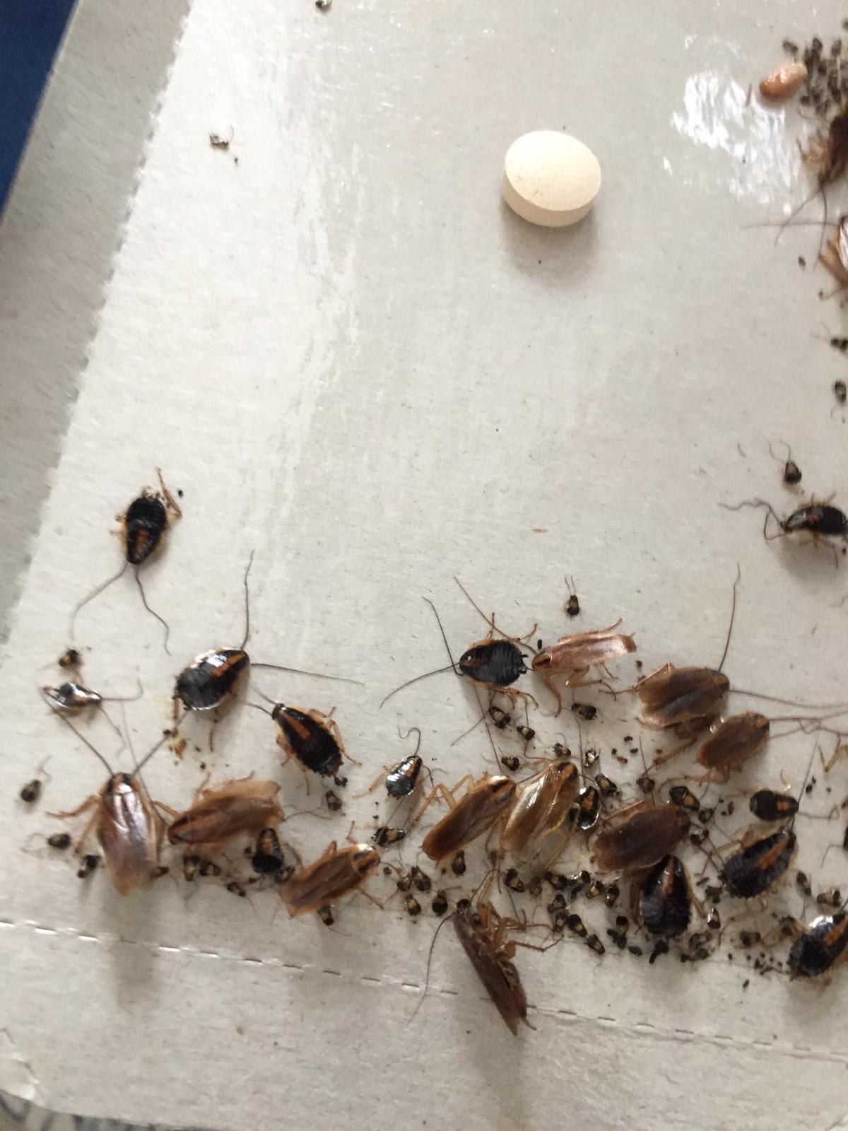 Photo n° 1 de l'avis de Elisa.a fait le 08/11/2019 à 12:52