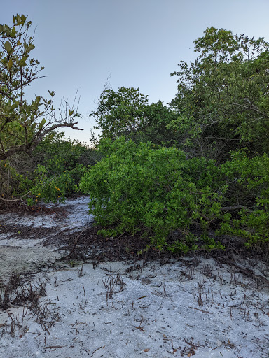 Nature Preserve «San Carlos Bay - Bunche Beach Preserve», reviews and photos, 18201 John Morris Rd, Fort Myers, FL 33908, USA