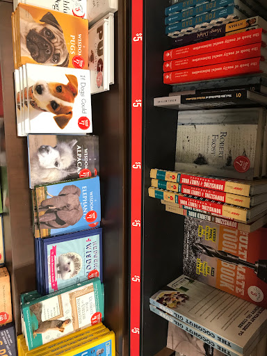 Book Store «Barnes & Noble», reviews and photos, 200 W Rte 70, Marlton, NJ 08053, USA