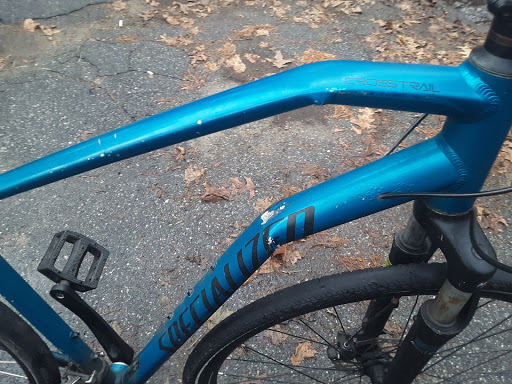 Bicycle Store «Specialized Bicycle Components», reviews and photos, 15130 Concord Cir, Morgan Hill, CA 95037, USA