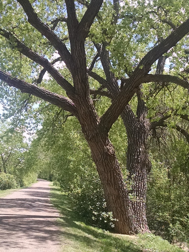 Golf Club «Highlands Ranch Golf Club», reviews and photos, 9000 Creekside Way, Highlands Ranch, CO 80129, USA