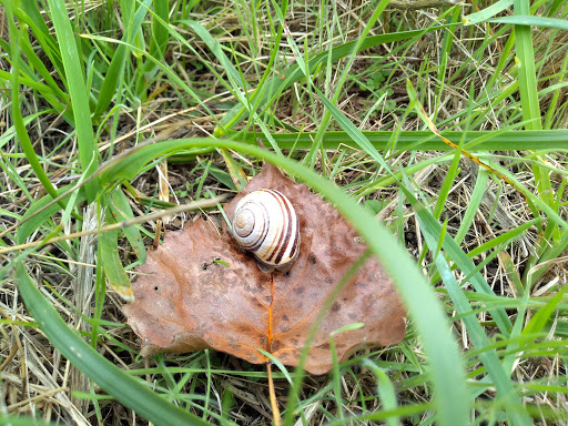 Nature Preserve «Times Beach Nature Preserve», reviews and photos, Coast Guard Station S Rd, Buffalo, NY 14203, USA