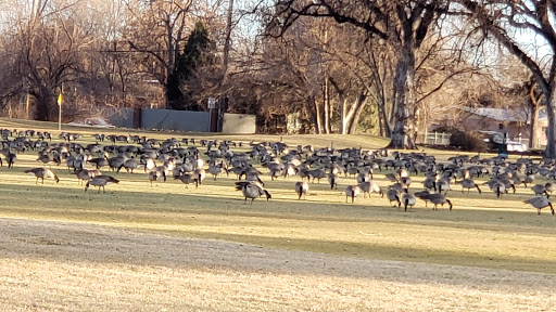 Golf Course «Elmwood Golf Course», reviews and photos, 3900 Thatcher Ave, Pueblo, CO 81005, USA