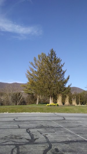 Blacksburg Country Club - photo 39