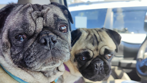 Shopping Mall «The Eureka Mall», reviews and photos, 800 W Harris St, Eureka, CA 95501, USA