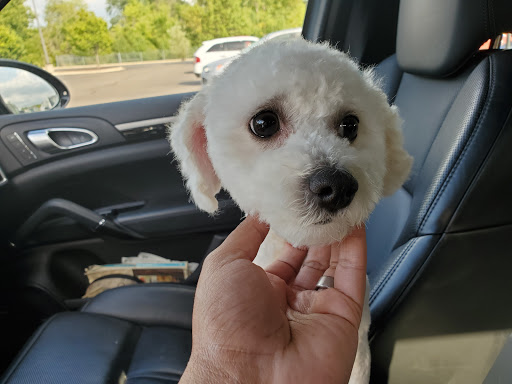 Pet Supply Store «PetSmart», reviews and photos, 2347 N Telegraph Rd, Monroe, MI 48162, USA