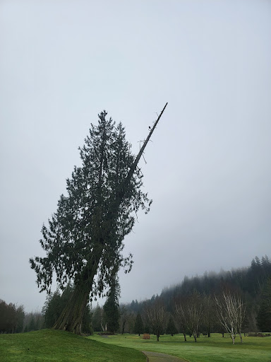 Golf Club «High Cedars Golf Club», reviews and photos, 14604 149th St Ct E, Orting, WA 98360, USA