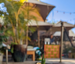 Gigi Rooftop Restaurant & Bar at the Gorgeous George Hotel photo