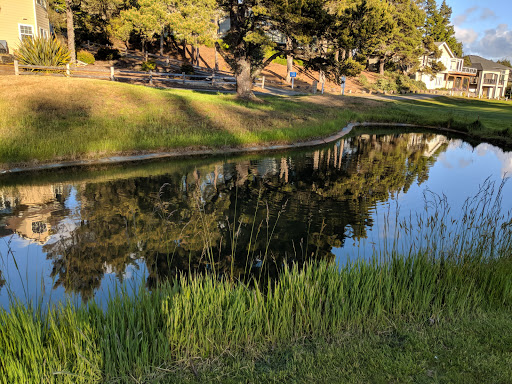 Golf Course «Ocean Dunes Golf Course», reviews and photos, 15 Onadoone Ct, Florence, OR 97439, USA