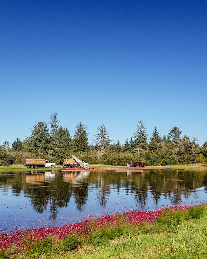 Museum «Cranberry Museum», reviews and photos, 2907 Pioneer Rd, Long Beach, WA 98631, USA