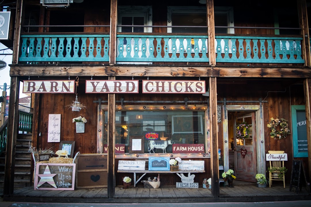 Barn Yard Chicks