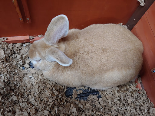 Pet Store «Greenwood Pets & Plants», reviews and photos, 13983 E 9 Mile Rd, Warren, MI 48089, USA