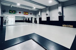 International Martial Arts Academy image