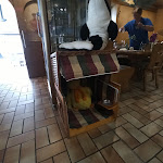 Photo n°6 de l'avis de Karin.i fait le 16/07/2023 à 13:26 sur le  Jever Krog à Witten