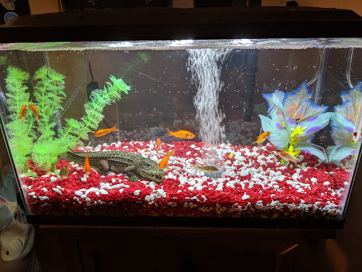 Pet Supply Store «Quality Pet Market», reviews and photos, 5543 Mahoning Ave, Austintown, OH 44515, USA